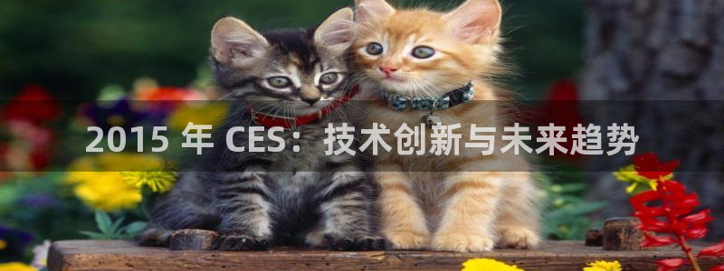 k8凯发版官网