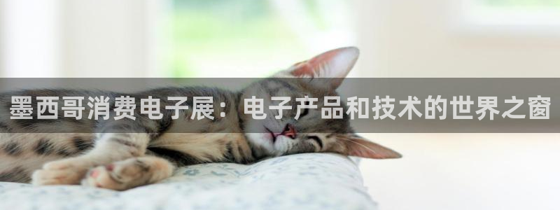 k8凯发是做什么的