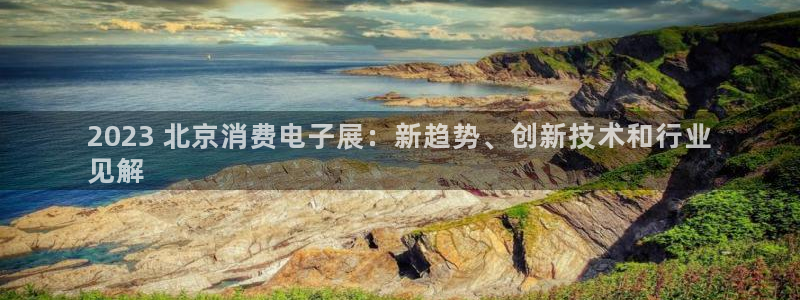 凯发k8国际首页登录|2023 北京消费电子展:新趋势、创新技术和行业
见解