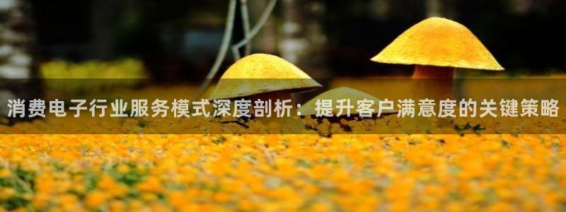 凯发k8国际手机网页|消费电子行业服务模式深度剖析:提升客户满意度的关键策略