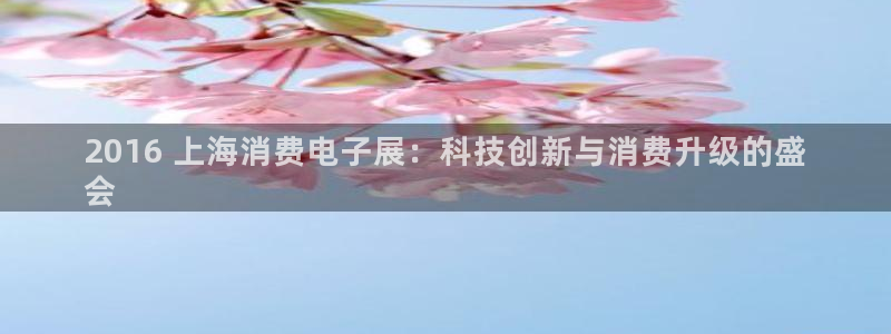 K8凯发·天生赢家|2016 上海消费电子展:科技创新与消费升级的盛
会