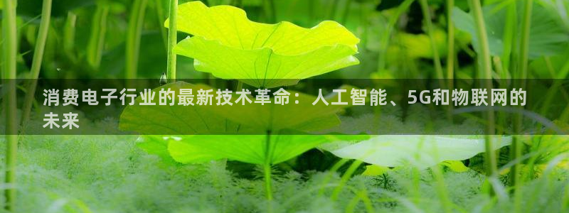 凯发k8旗舰厅|消费电子行业的最新技术革命:人工智能、5G和物联网的
未来