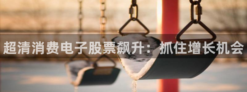 K8凯发·国际官方网站|超清消费电子股票飙升:抓住增长机会
