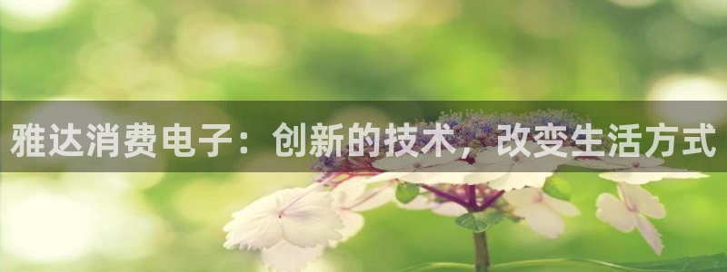 凯发国际|雅达消费电子:创新的技术,改变生活方式